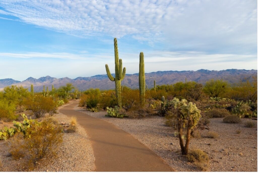 Wheelchair Accessible Trails in Arizona